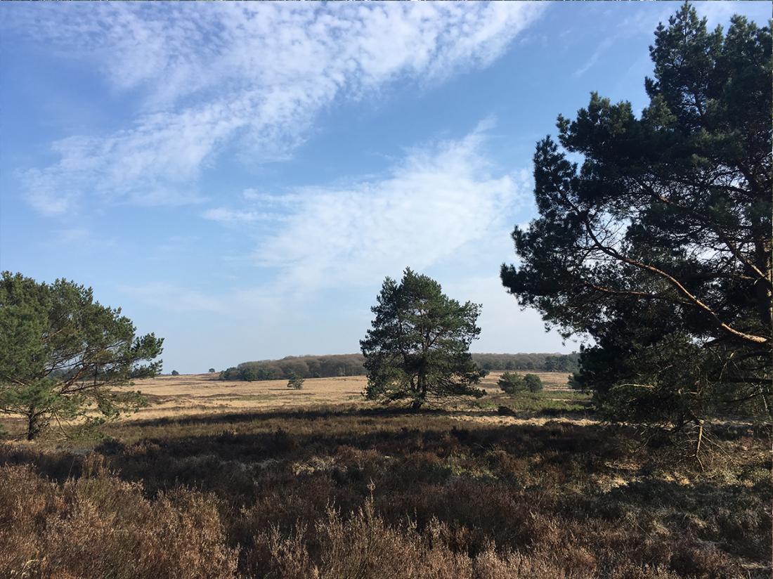 Weekendjeweg Garderen Veluwe hotel omgeving