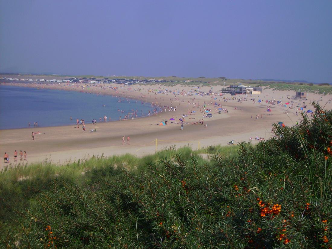 Resort land en zee scharendijke exterieur omgeving strand