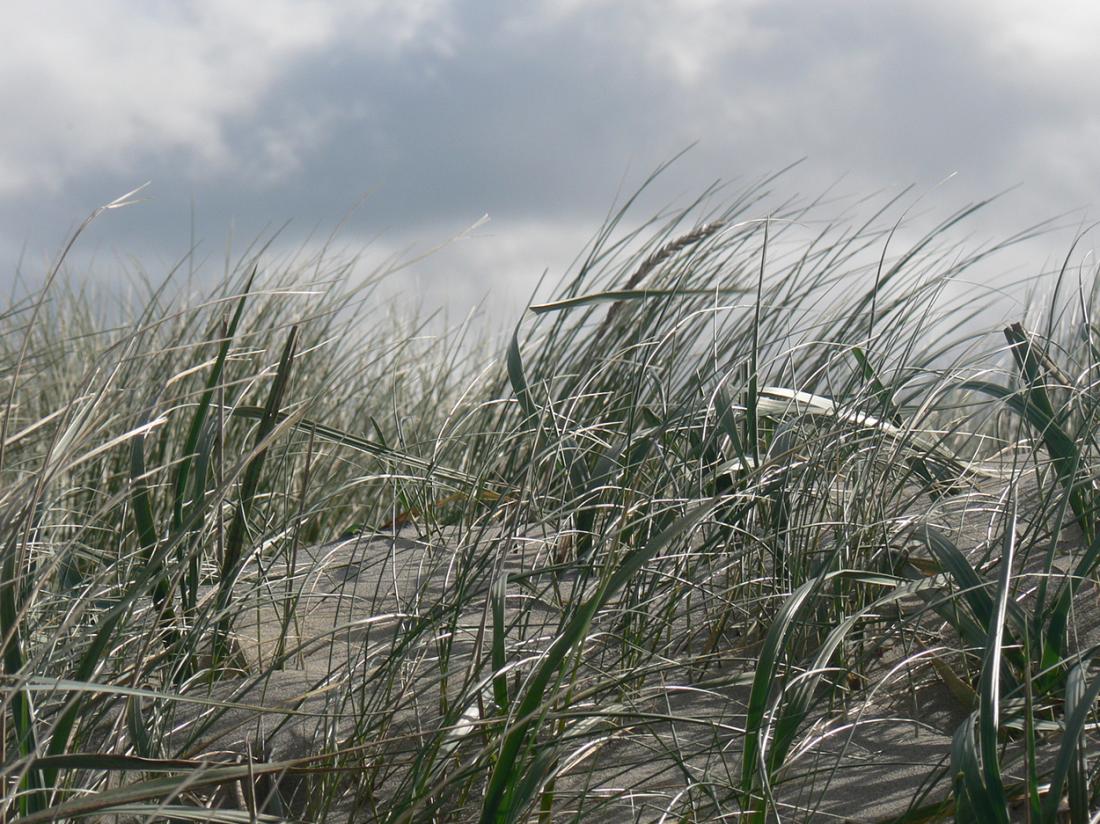 Resort land en zee scharendijke exterieur omgeving