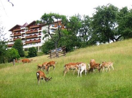 Hotelaanbieding Hotel Kastenholz Wershofen Wildpark