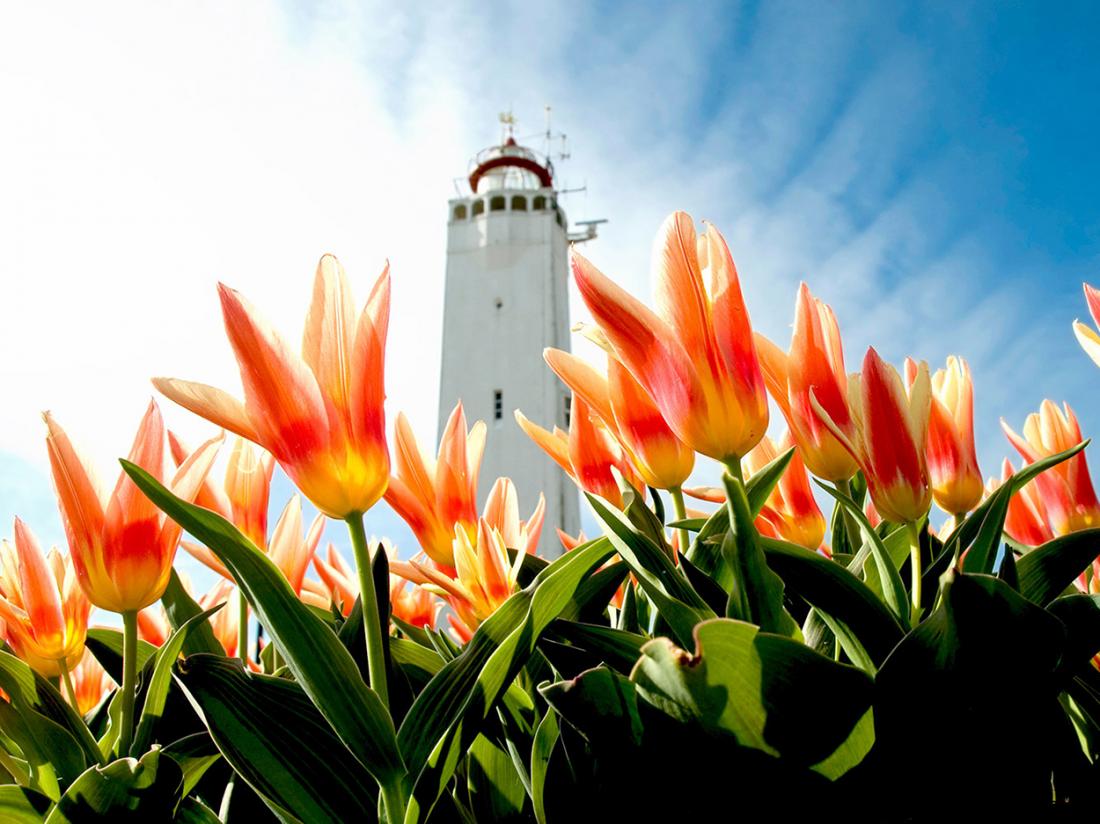 Hotel Astoria Noordwijk aan Zee Vuurtoren