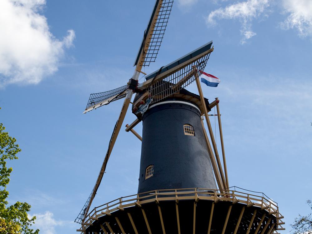 woerden molen