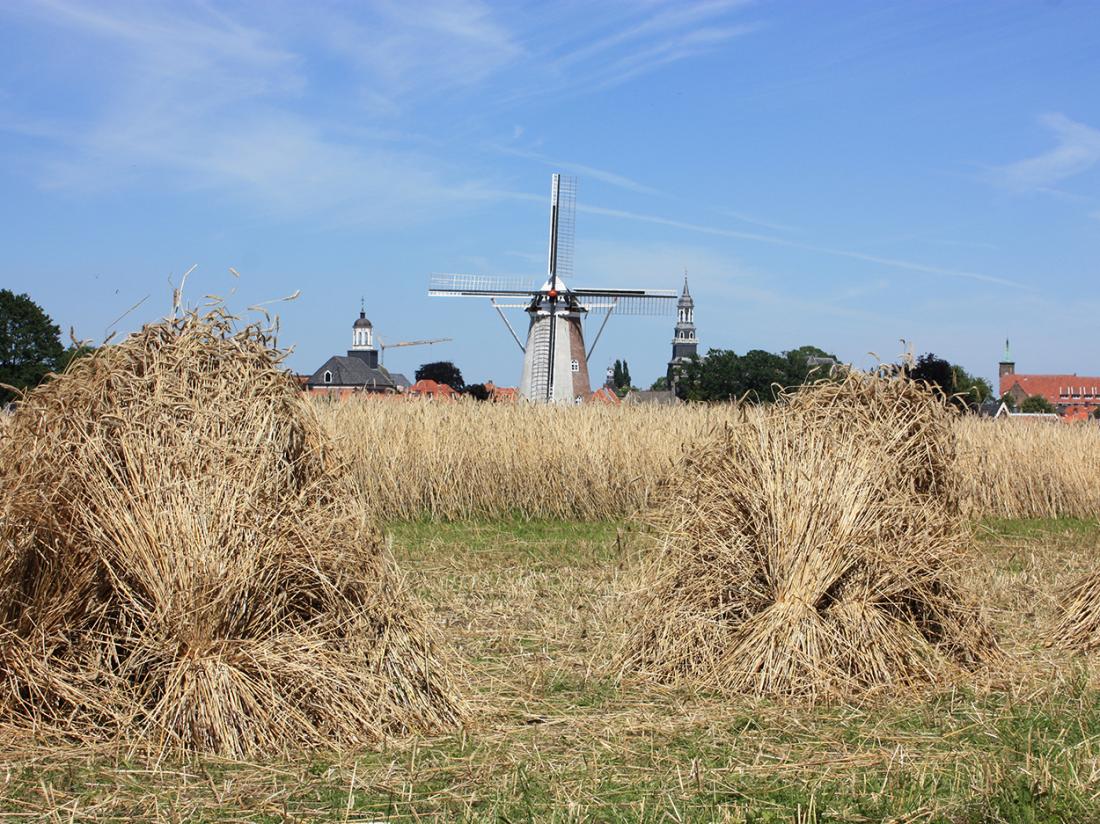 Hotel Landmarke omgeving molen