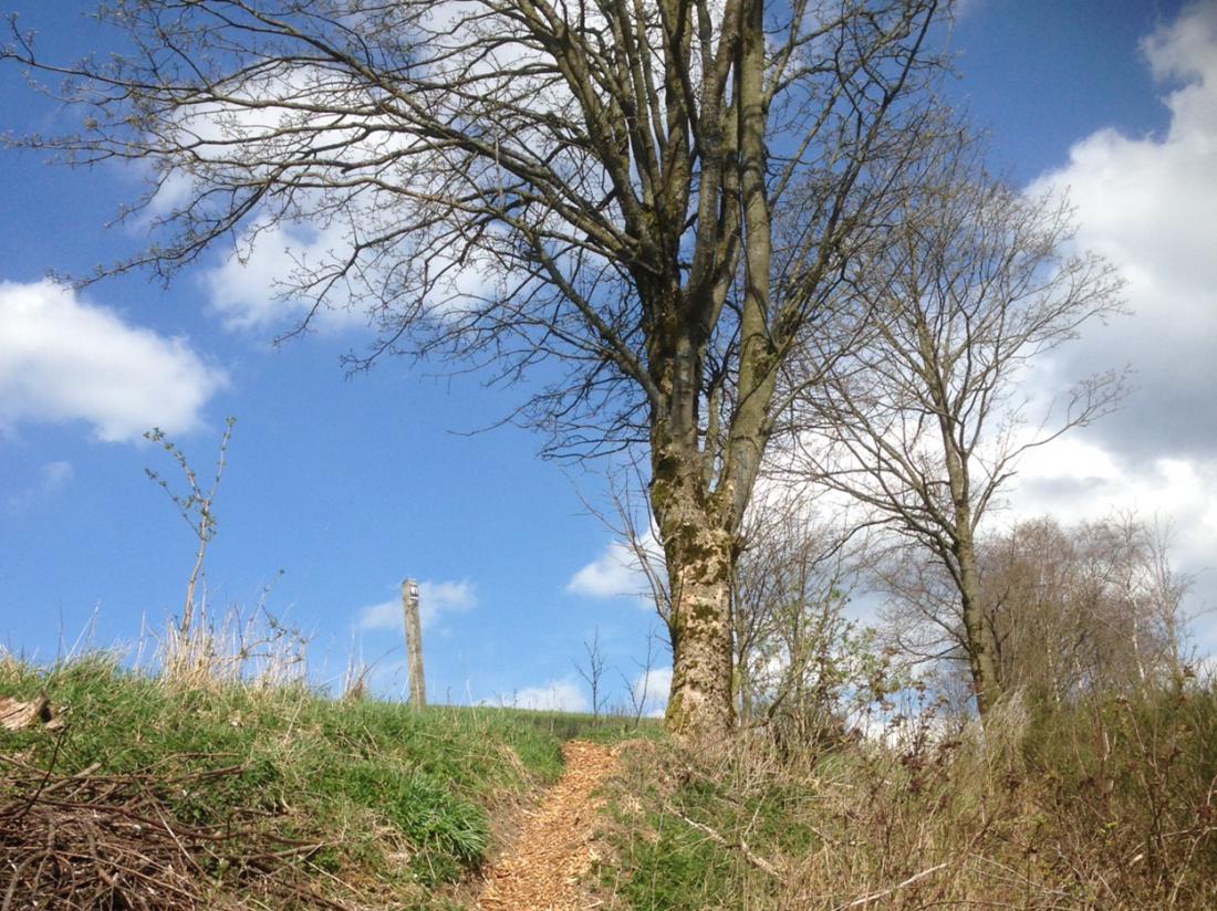 Gasthof Westfeld Schmallenberg Duitsland Omgeving