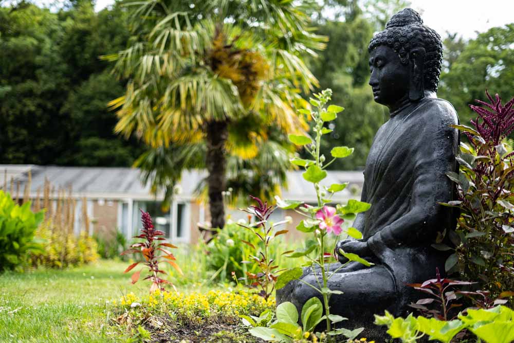 weekendjeweg zeeland hotel de elderschans