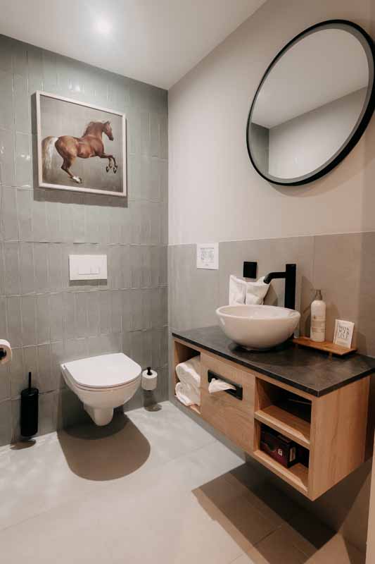 welsh badkamer toilet luxe