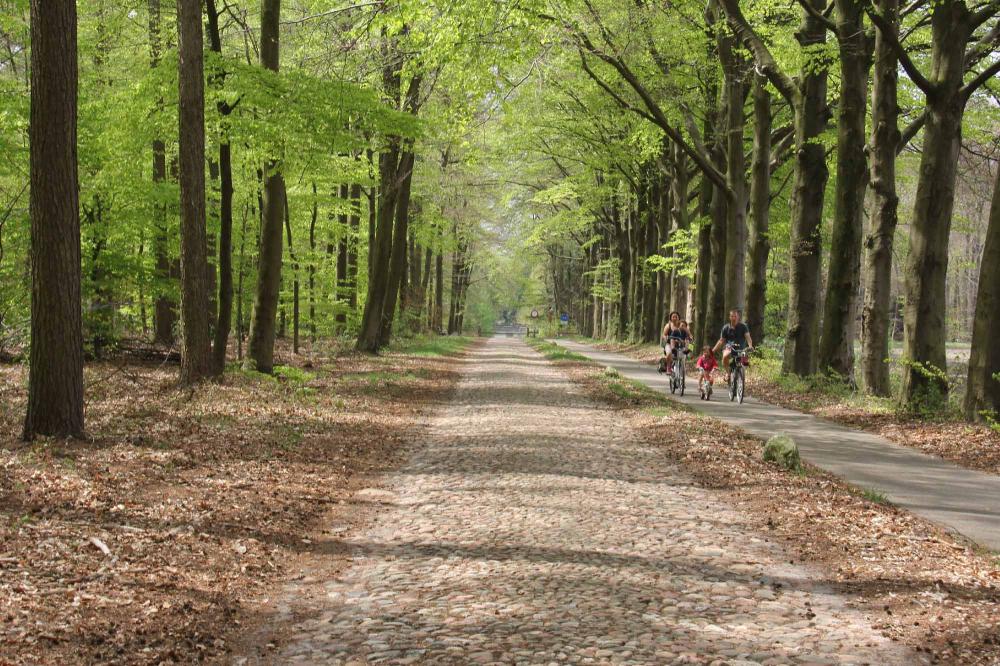 Fietsen wandelen natuur omgeving weekendjeweg Brinkhotel arrangement