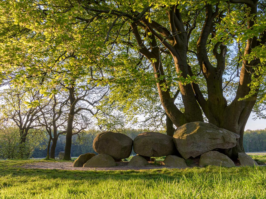 Hunebedden Drenthe Vakantie