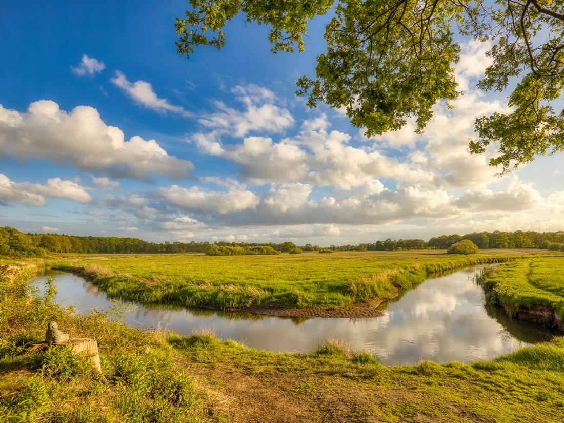 Natuur Omgeving Drenthe Groningen