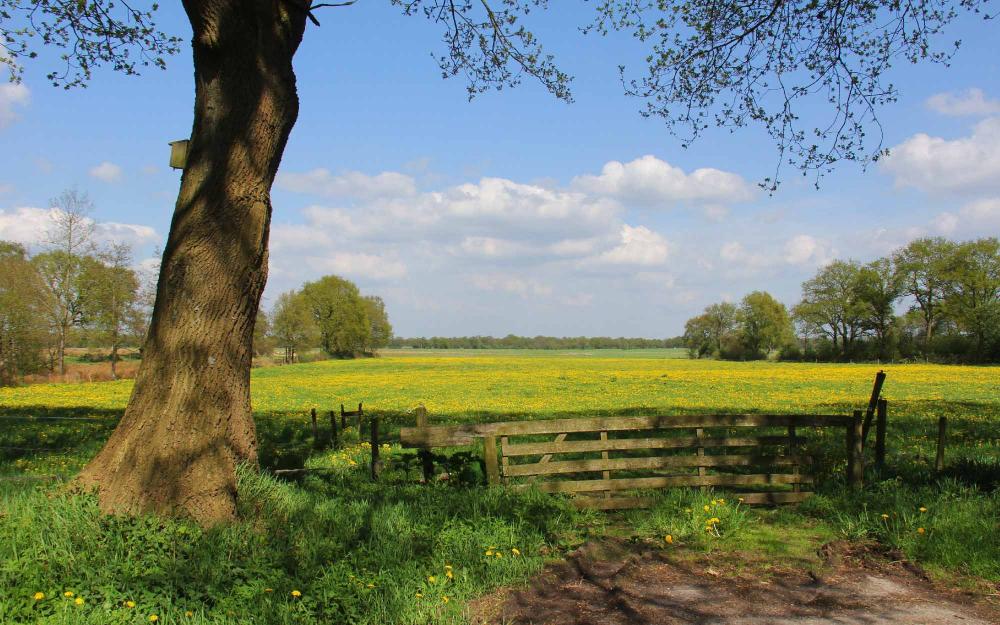 Weekendjeweg Brinkhotel Zuidlaren omgeving