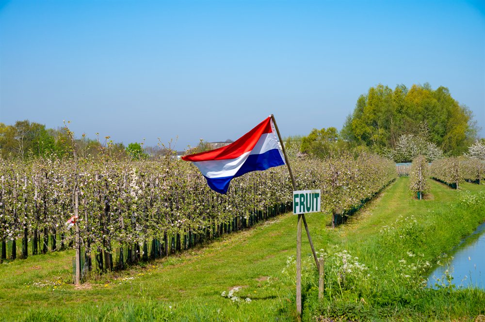 hotel deal nederland nijmegen fletcher gelderse poort 1