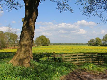 Hotelaanbieding Brinkhotel Zuidlaren Omgeving