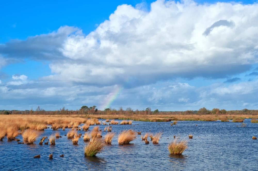 Fietsvakantie Dwingelderveld Drenthe Giethoor