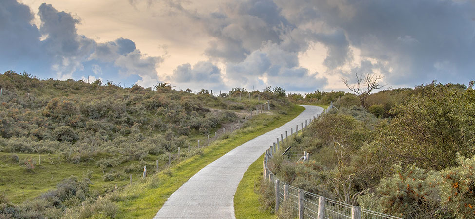 fietsen door de duinen zeeland