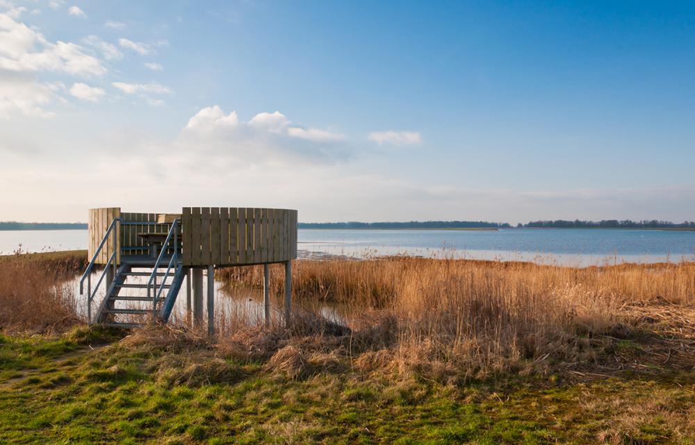 fietsvakantie biesbosch dordrecht