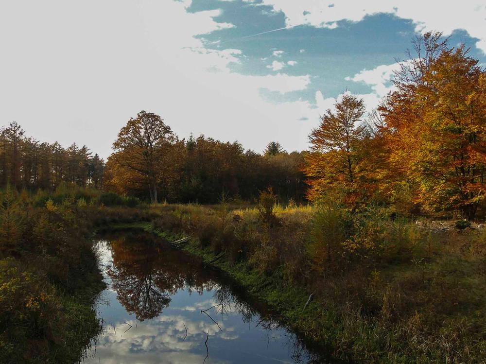 Hotel De Wapser Herberg Wapse Drenthe Sloot