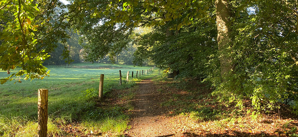 wandelvakantie ootmarsum