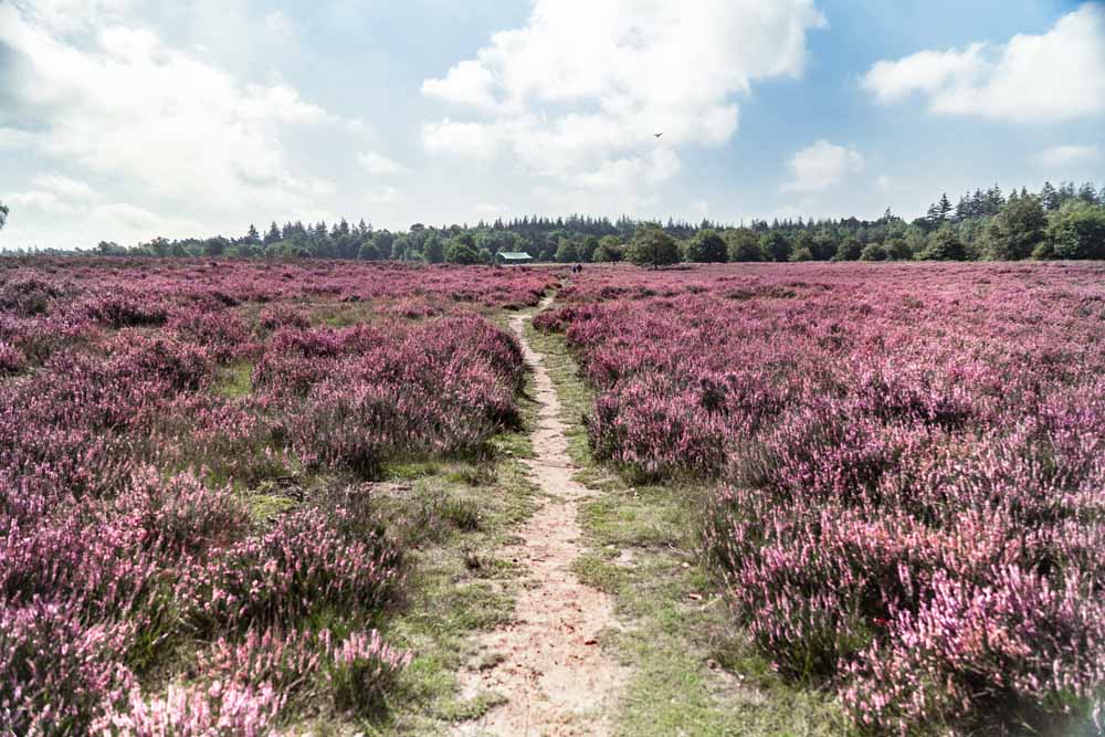 weekend weg hotel de beyaerd omgeving