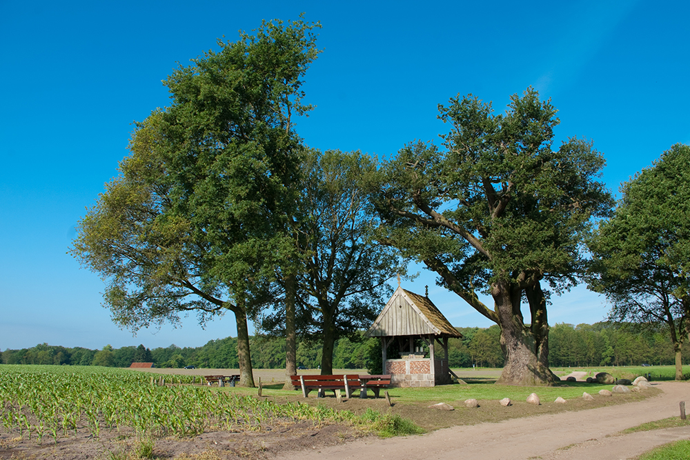 kroezeboom tubbergen fietsvakantie