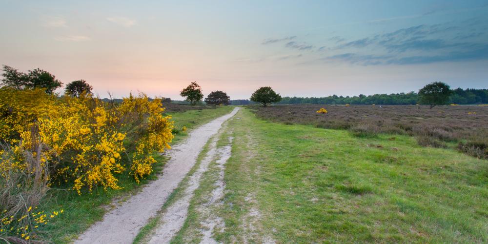 dreamstime xl 95842130 utrechtse heuvelrug bij hilversum