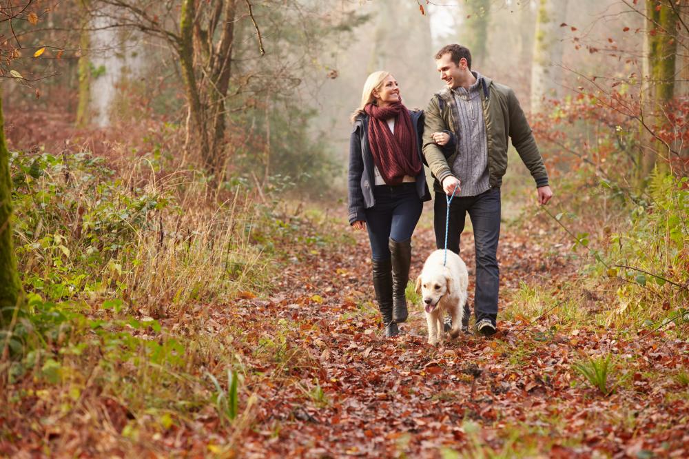 weekendje weg met hond hotel honden welkom