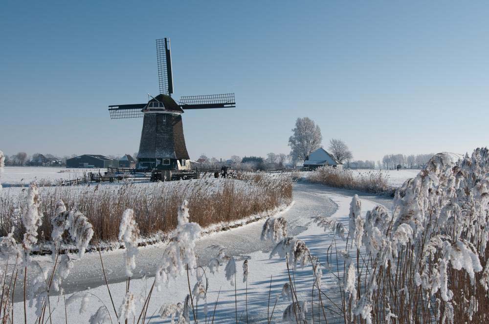 Noord Holland Sneeuw Winter
