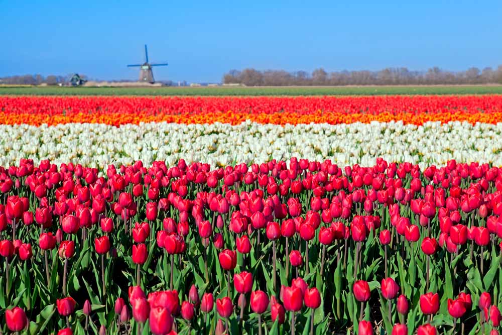 Hotelaanbieding Noord Holland Schagen