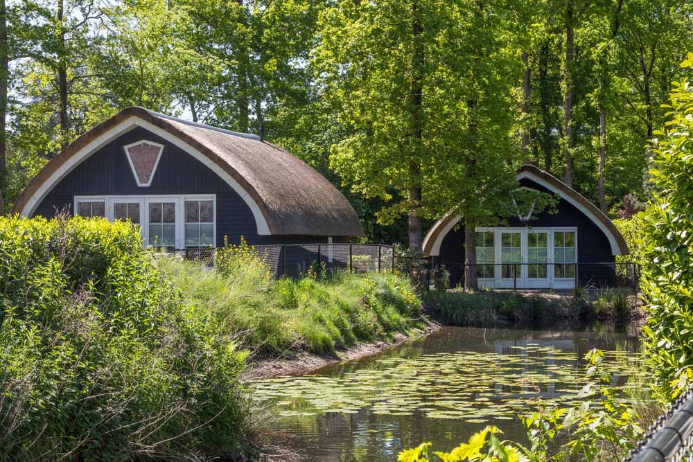 Cottage vijver