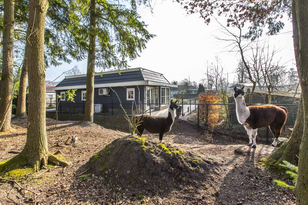 entree residence de eese vakantiepark weerribben